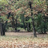 Review photo of Turner Falls Park by Chris B., July 30, 2018