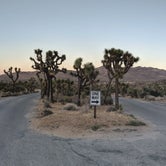 Review photo of Indian Cove Campground — Joshua Tree National Park by Brian K., July 30, 2018