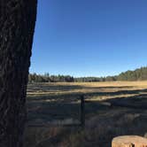 Review photo of El Prado Campground by Richard L., July 30, 2018