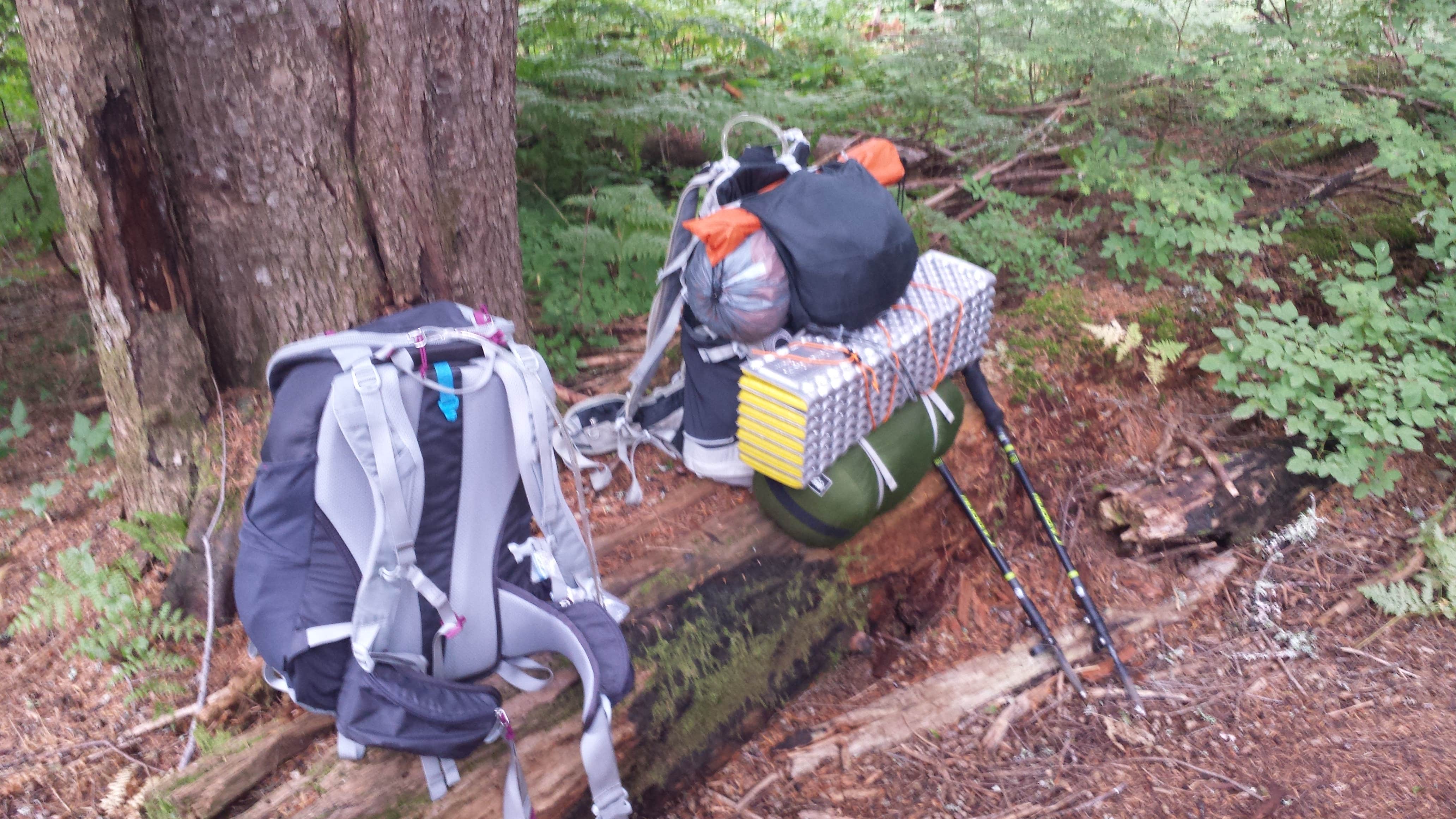 Camper-submitted photo at Snag Creek Trailhead Dispersed near Woodland, WA