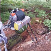 Review photo of Snag Creek Trailhead Dispersed by Raphaela H., July 27, 2016