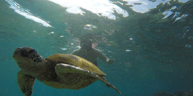 Camper submitted image from Mahukona Beach Park