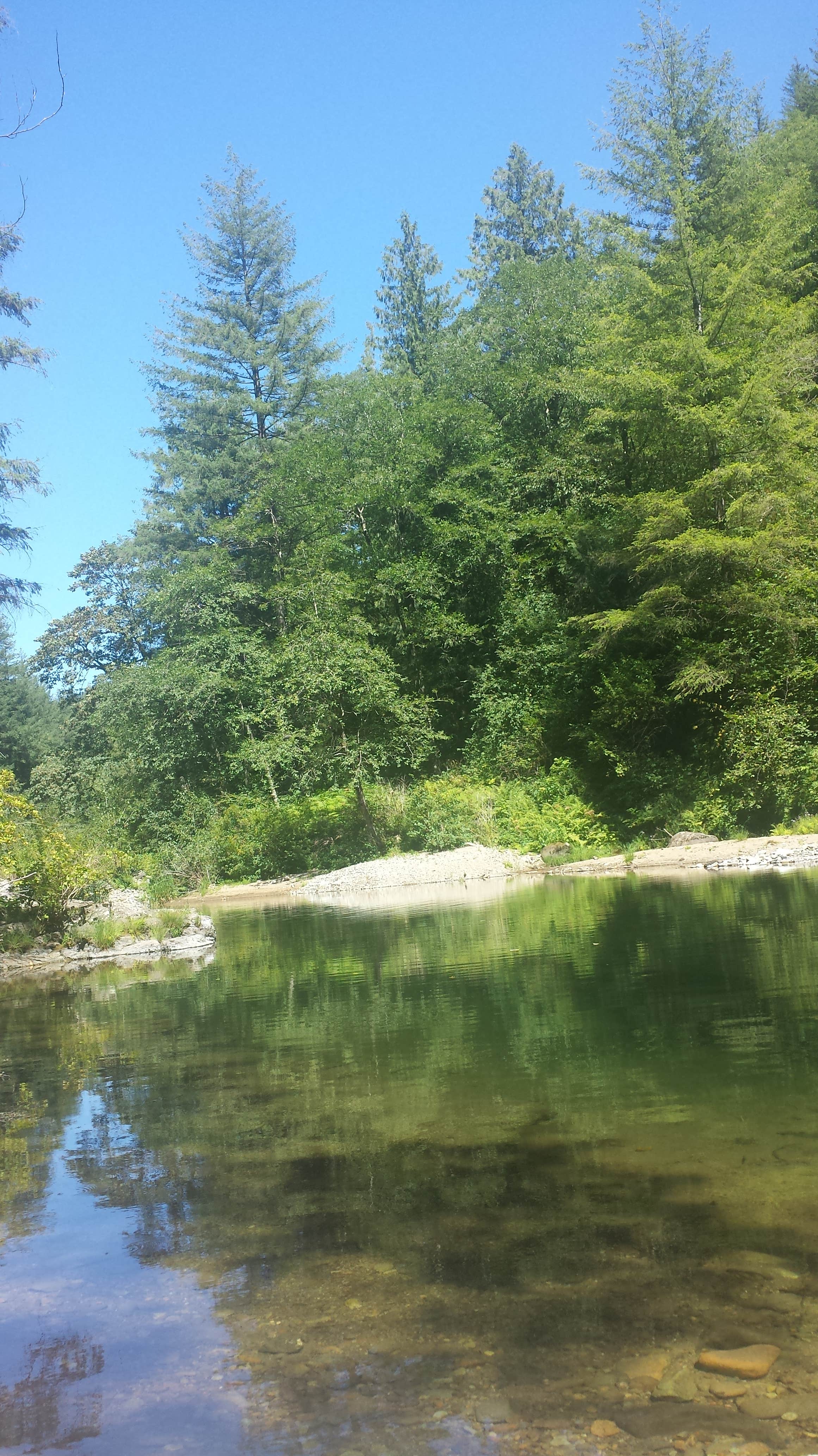 Camper submitted image from Dougan Creek Campground - 3