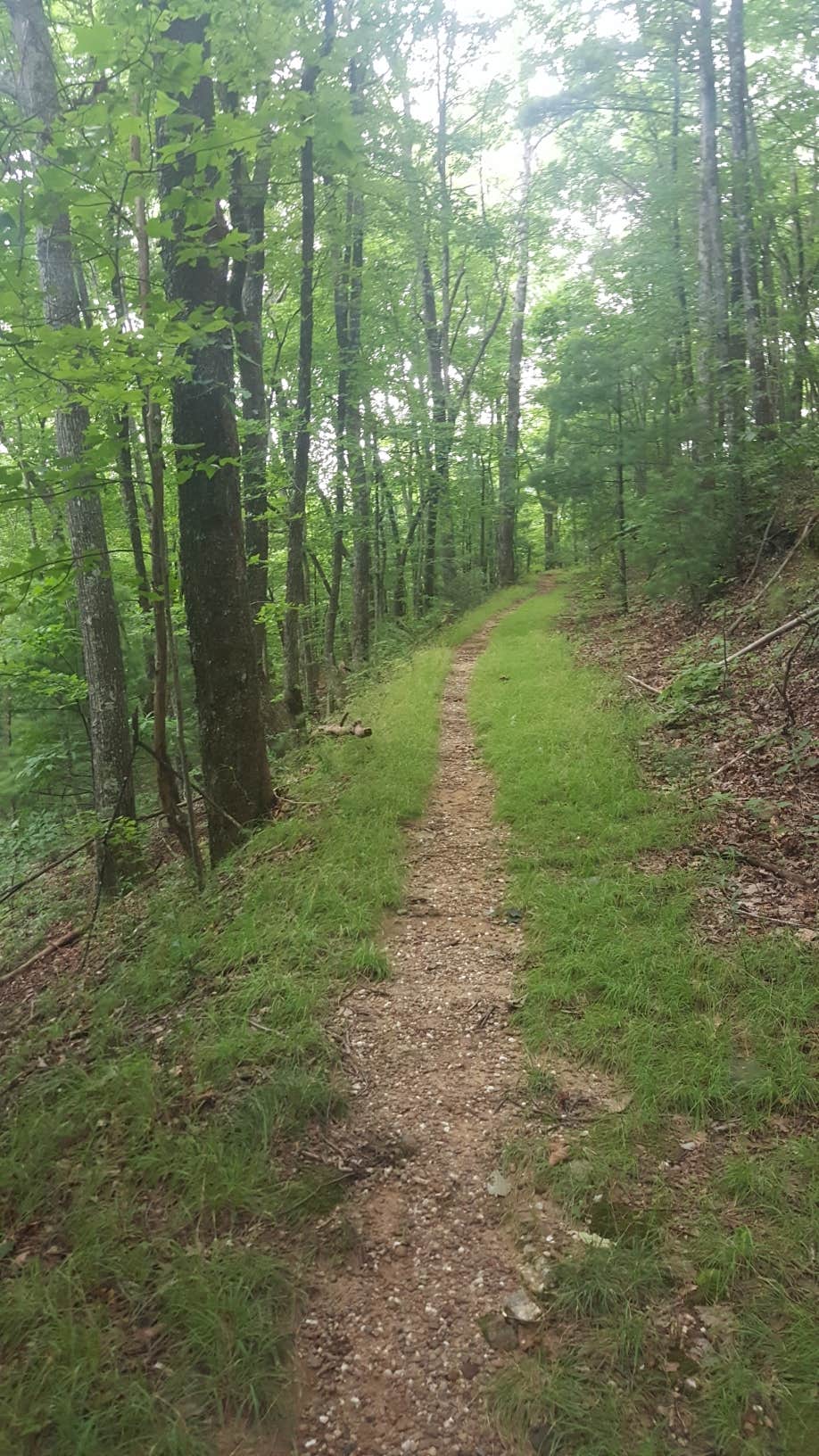 Camper-submitted photo at Big Frog Area near Ocoee, TN