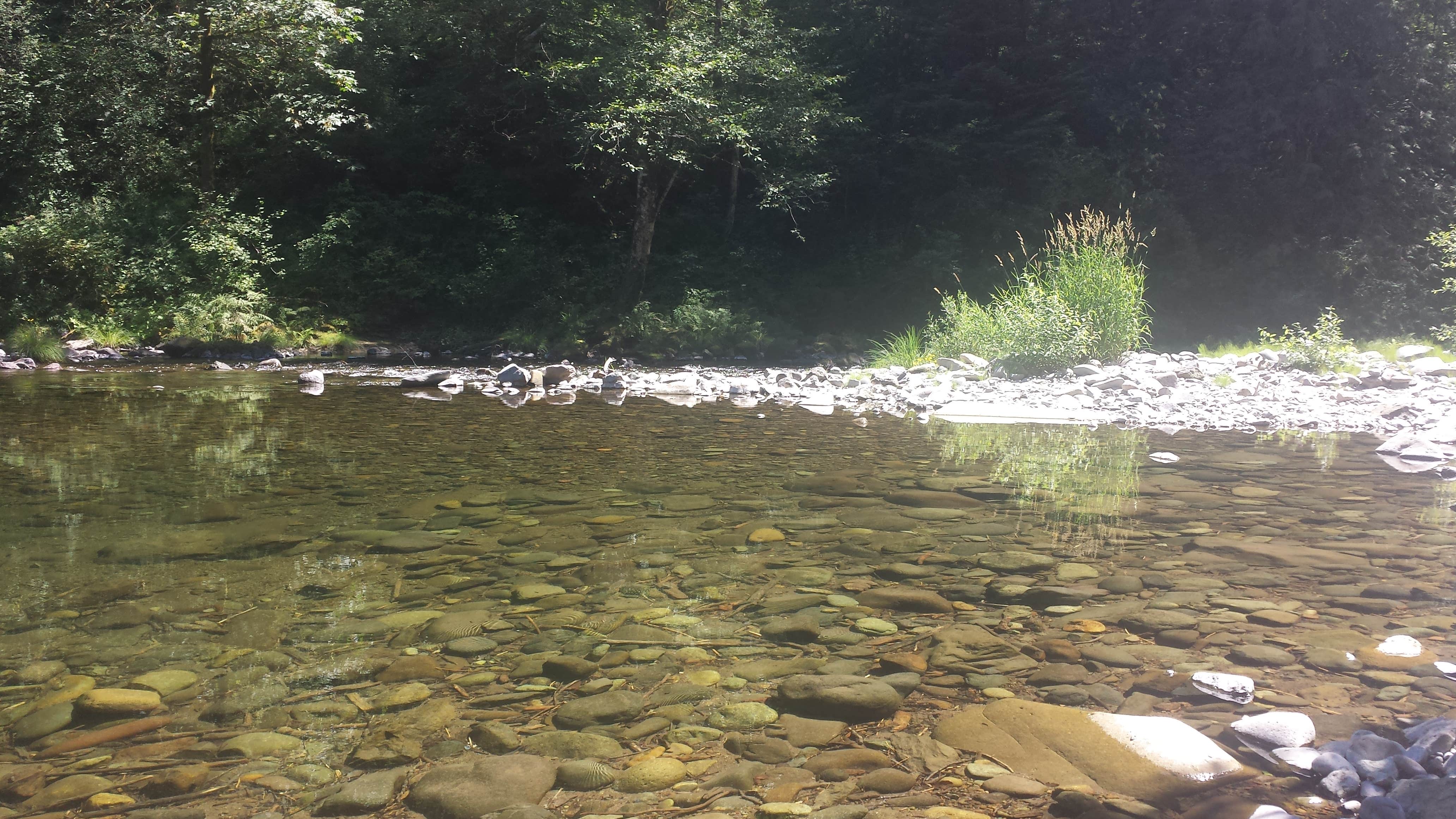Camper submitted image from Dougan Creek Campground - 2