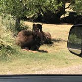 Review photo of Wild Horse Equestrian Area — Caprock Canyons State Park by Jenny S., July 30, 2018