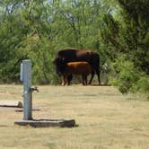 Review photo of Wild Horse Equestrian Area — Caprock Canyons State Park by Jenny S., July 30, 2018