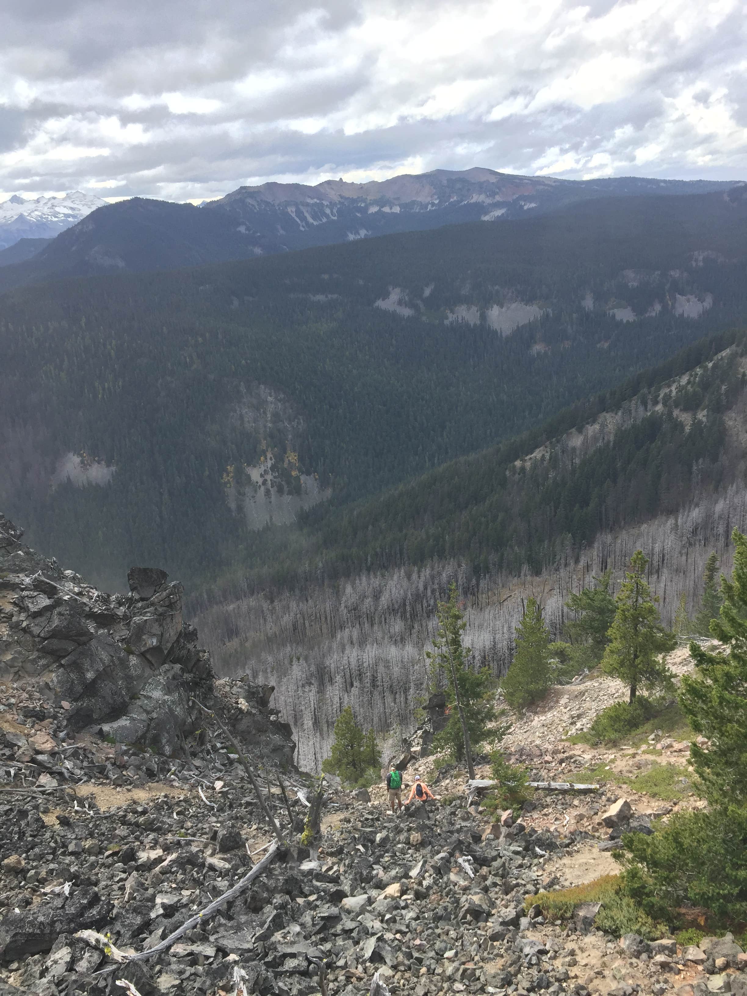 Camper-submitted photo at Saddle near Gifford Pinchot National Forest