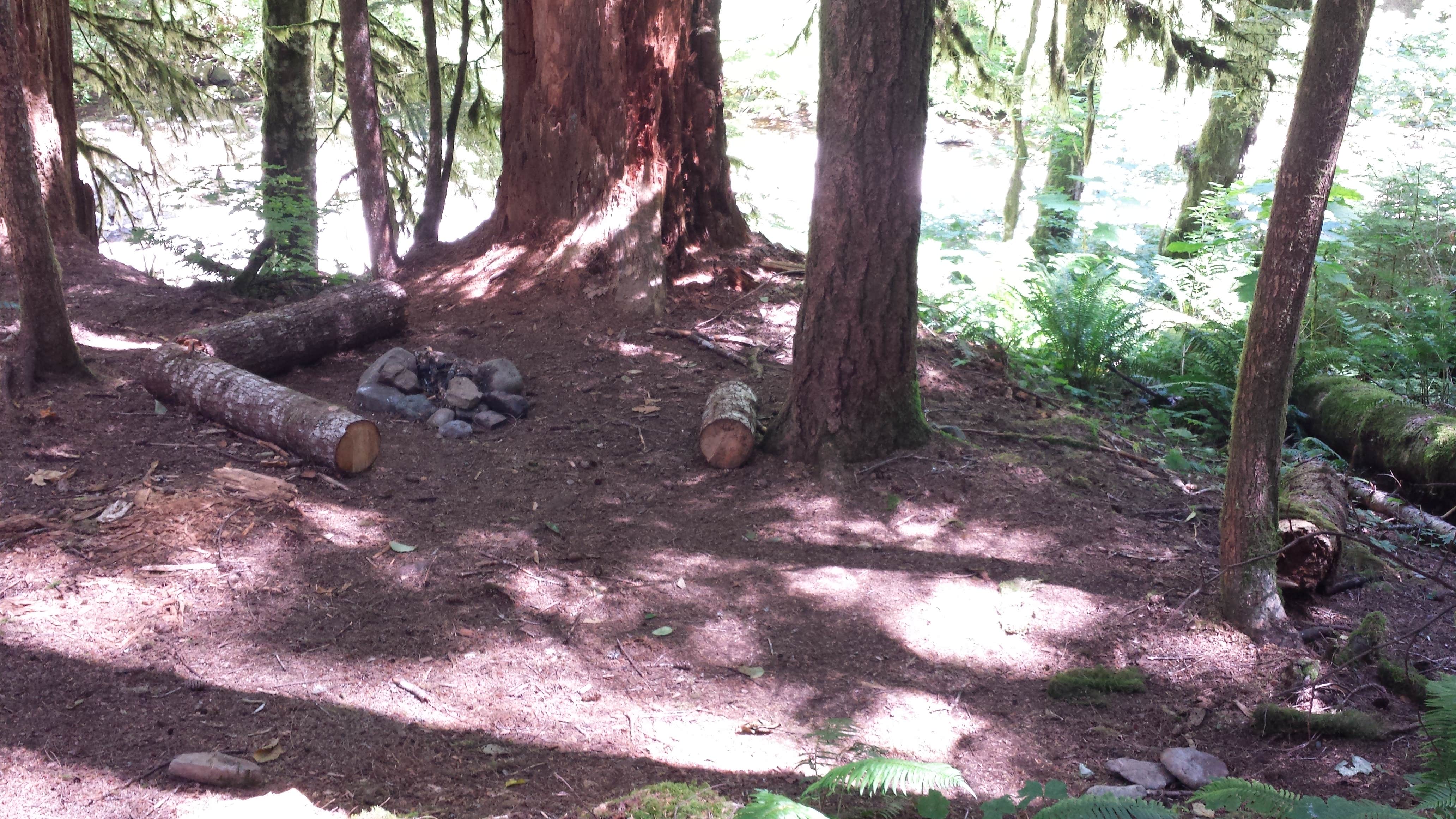 Camper submitted image from Rock Creek Campground - Yacolt Burn State Forest - 2