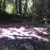 Review photo of Rock Creek Campground - Yacolt Burn State Forest by Raphaela H., July 27, 2016