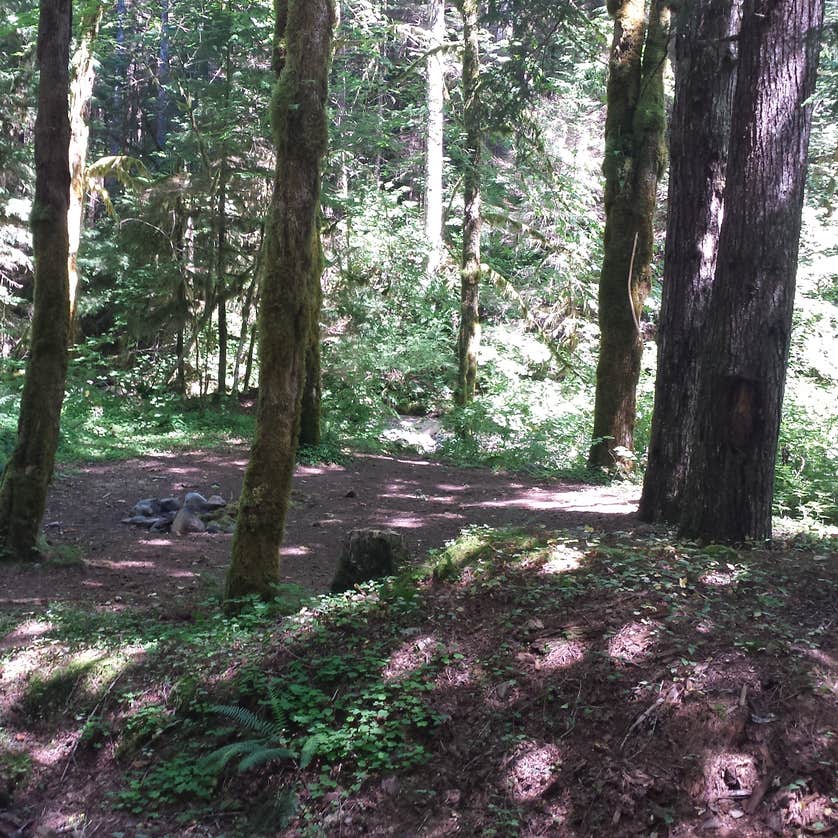 Rock Creek Campground Yacolt Burn State Forest Yacolt, WA