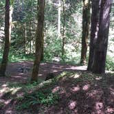 Review photo of Rock Creek Campground - Yacolt Burn State Forest by Raphaela H., July 27, 2016