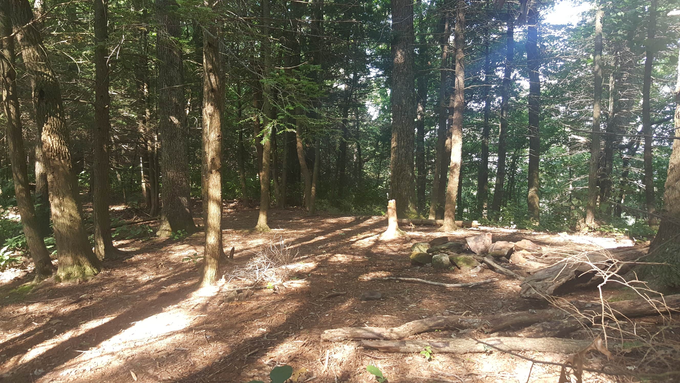 Camper-submitted photo at Big Frog Area near Ocoee, TN