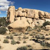 Review photo of Hidden Valley Campground — Joshua Tree National Park by Kelly M., July 30, 2018