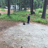 Review photo of Lake Wenatchee State Park Campground by Carla S., July 30, 2018