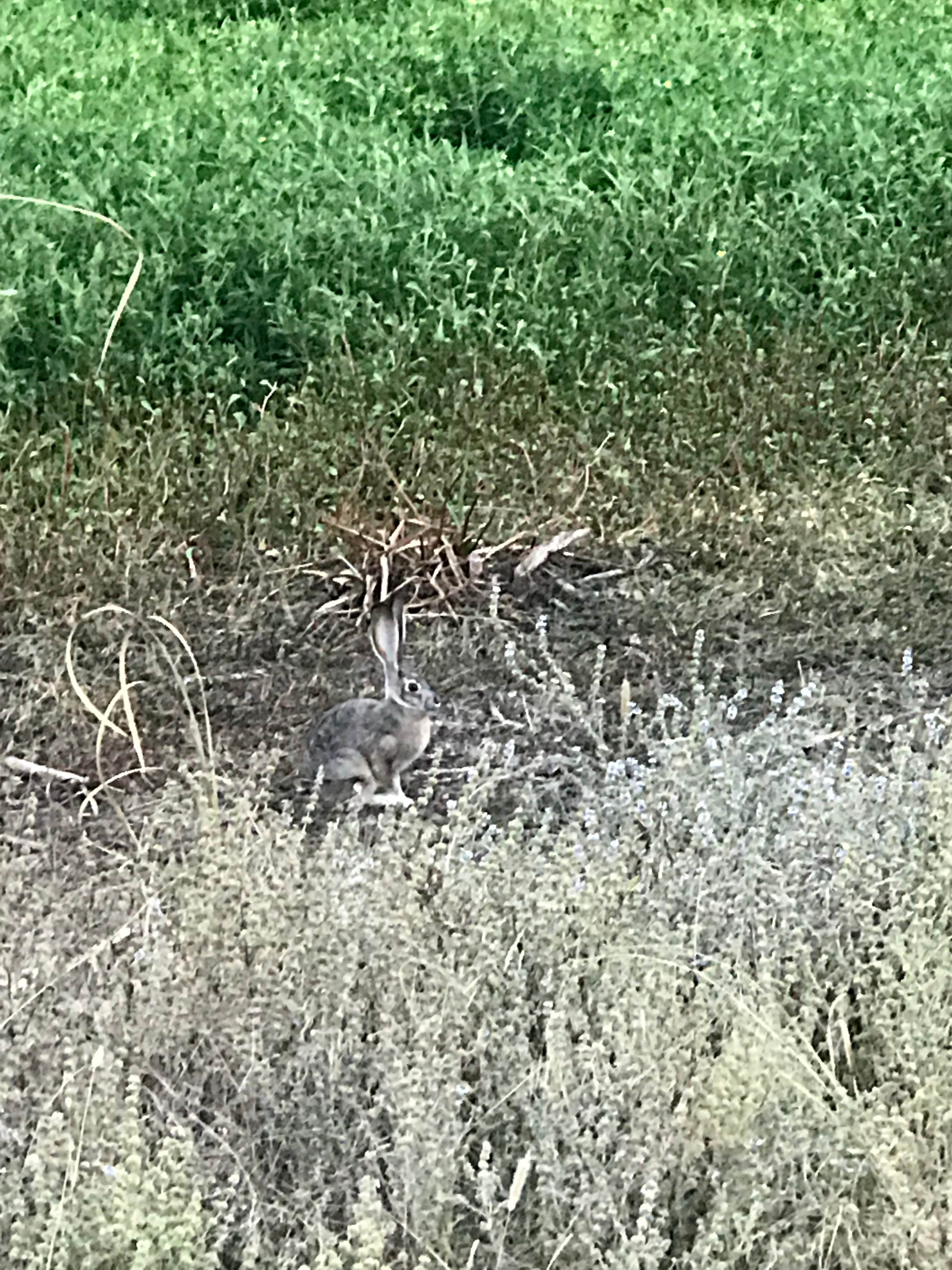 Camper submitted image from Bullfrog Pond Campground - TEMPORARILY CLOSED - 5
