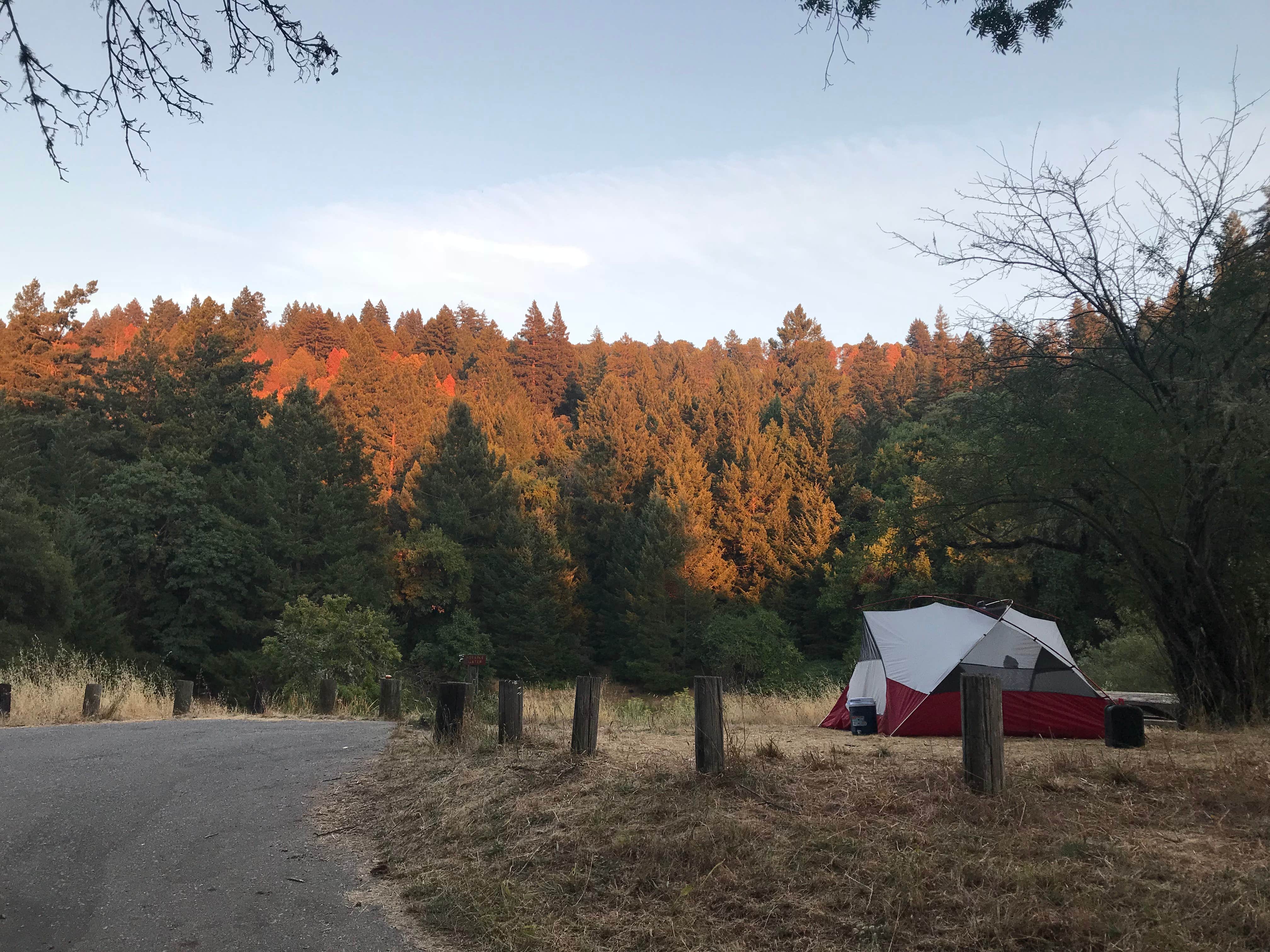 Chelsea  N.'s photo at Bullfrog Pond Campground - TEMPORARILY CLOSED in California