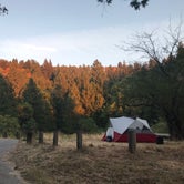 Review photo of Bullfrog Pond Campground - TEMPORARILY CLOSED by Chelsea  N., July 30, 2018