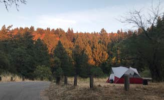 Chelsea  N.'s photo at Bullfrog Pond Campground - TEMPORARILY CLOSED near Cazadero, CA