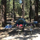 Review photo of Wawona Campground — Yosemite National Park by Clayton R., July 30, 2018