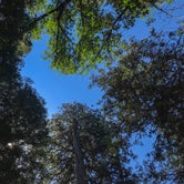 Review photo of Wawona Campground — Yosemite National Park by Clayton R., July 30, 2018