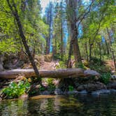 Review photo of Wawona Campground — Yosemite National Park by Clayton R., July 30, 2018