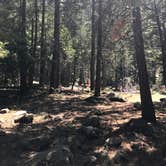 Review photo of Wawona Campground — Yosemite National Park by Clayton R., July 30, 2018