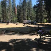 Review photo of Wawona Campground — Yosemite National Park by Clayton R., July 30, 2018