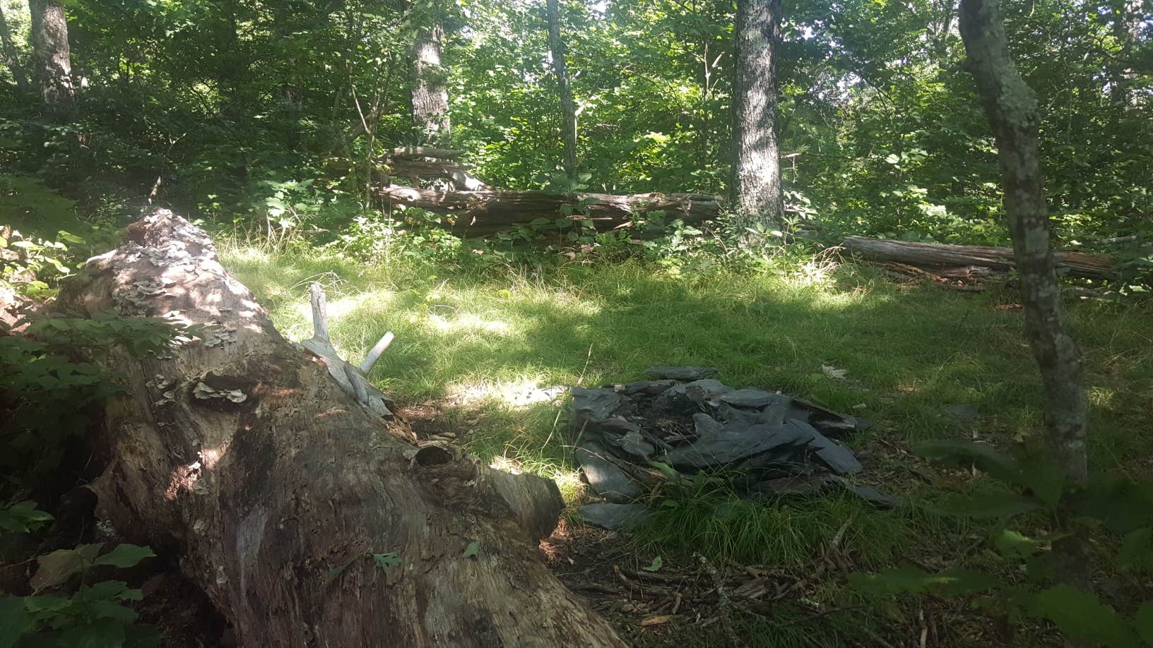 Camper-submitted photo at Big Frog Area near Ocoee, TN