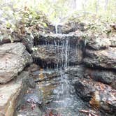 Review photo of Tyler State Park Campground by Jenny S., July 30, 2018