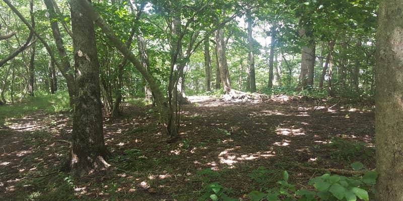 Camper submitted image from Big Frog Area