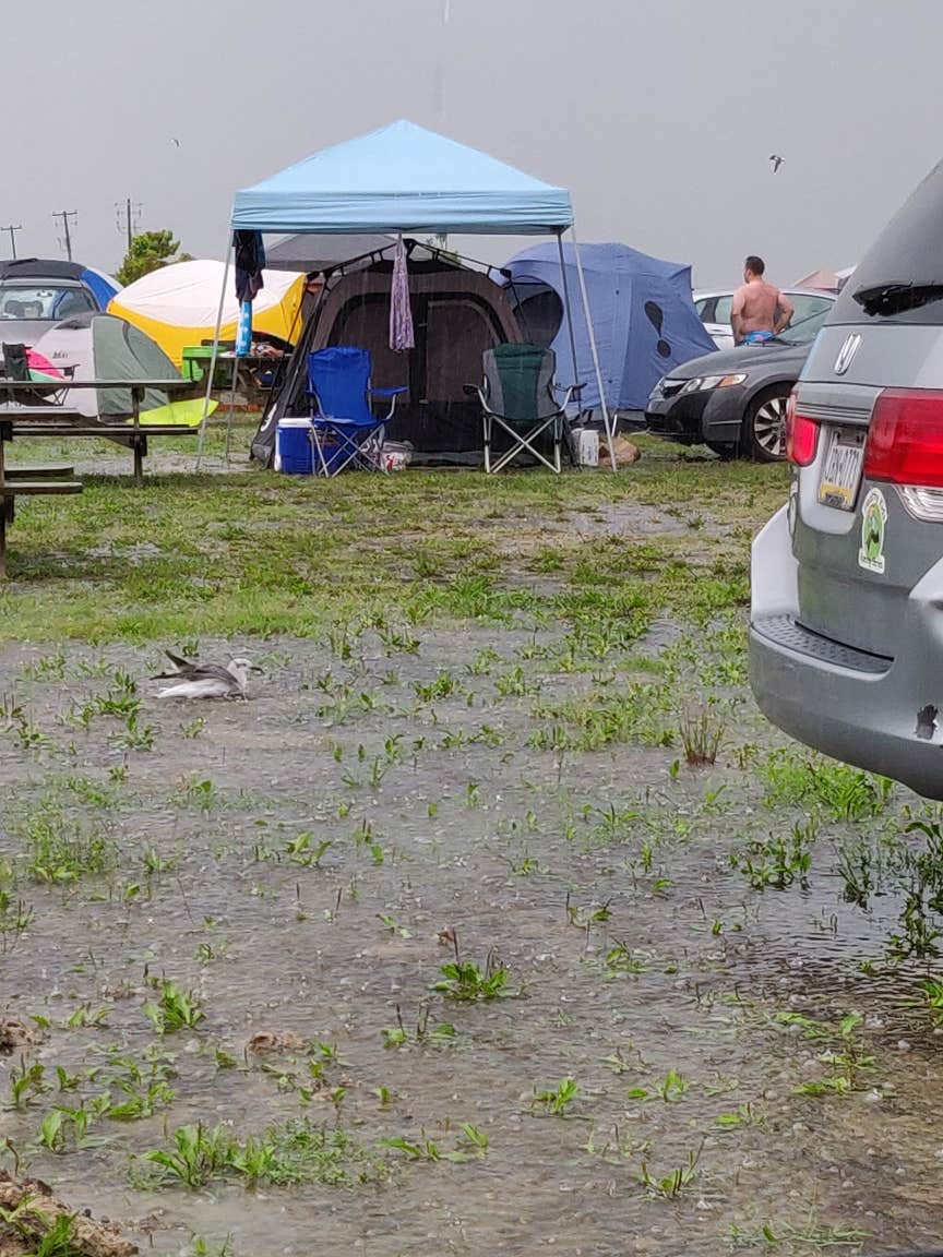 Etzer D.'s photo at Delaware Seashore State Park Campground near Ocean View, DE