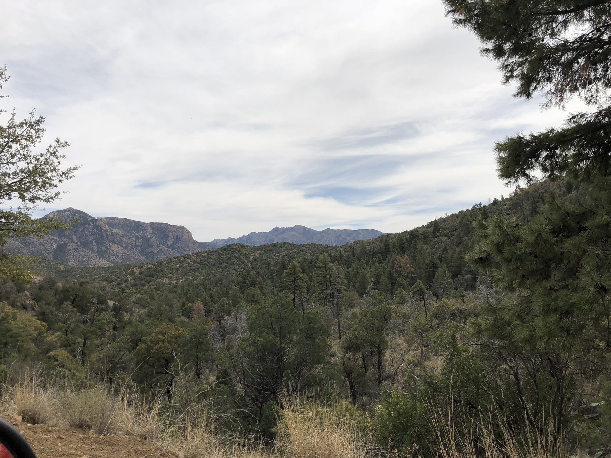 Camper submitted image from Chiricahua Mountains - 2