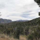 Review photo of Chiricahua Mountains by Lenore M., July 30, 2018