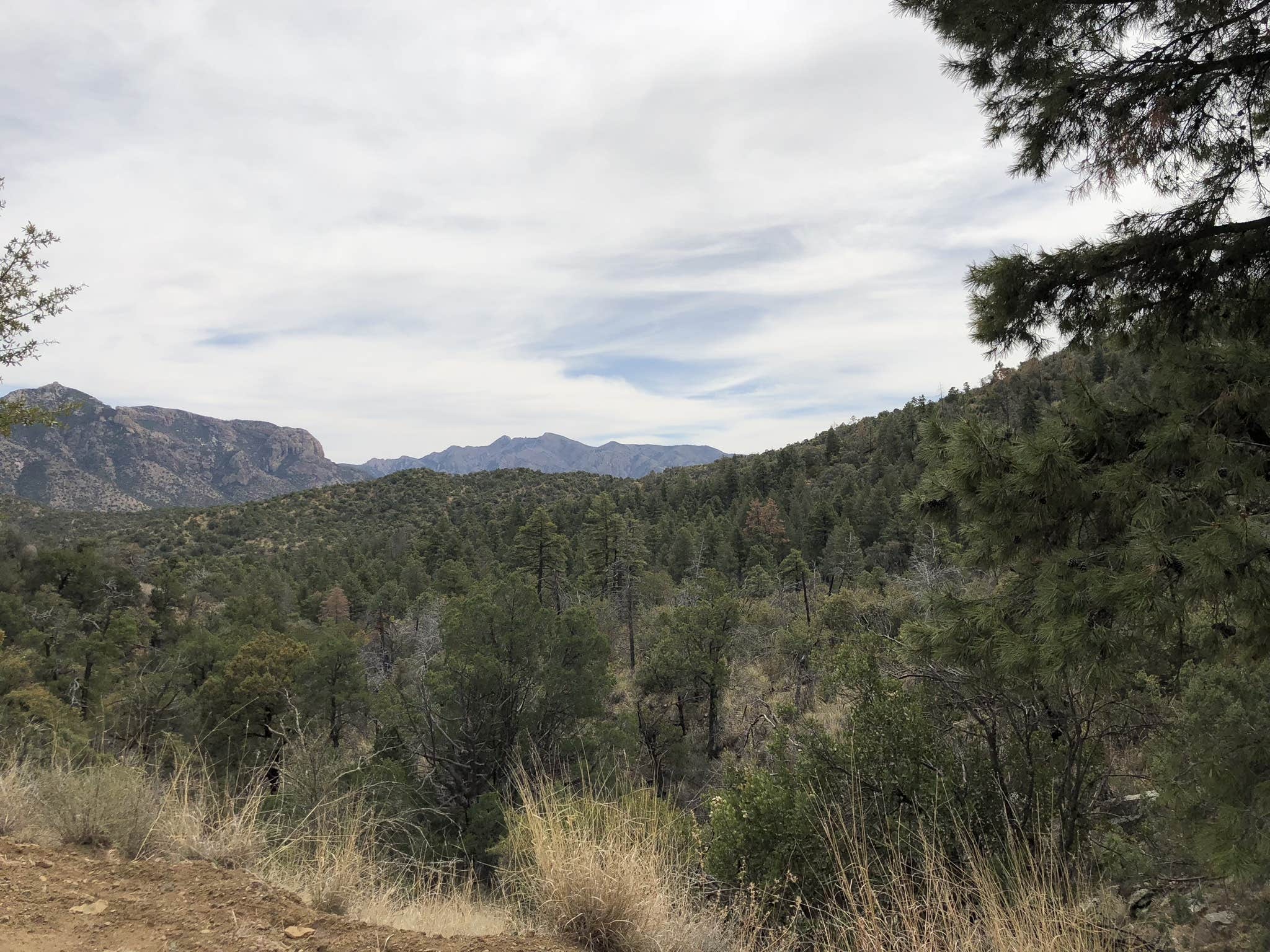 Camper-submitted photo at Chiricahua Mountains near Chiricahua, AZ