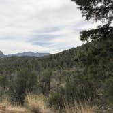 Review photo of Chiricahua Mountains by Lenore M., July 30, 2018