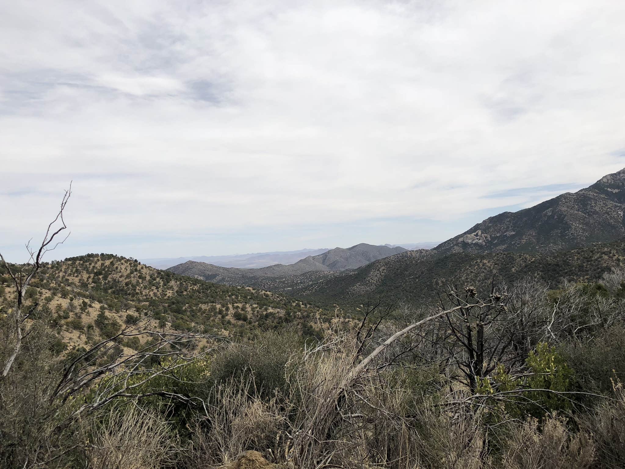 Camper-submitted photo at Chiricahua Mountains near Chiricahua, AZ