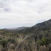 Review photo of Chiricahua Mountains by Lenore M., July 30, 2018