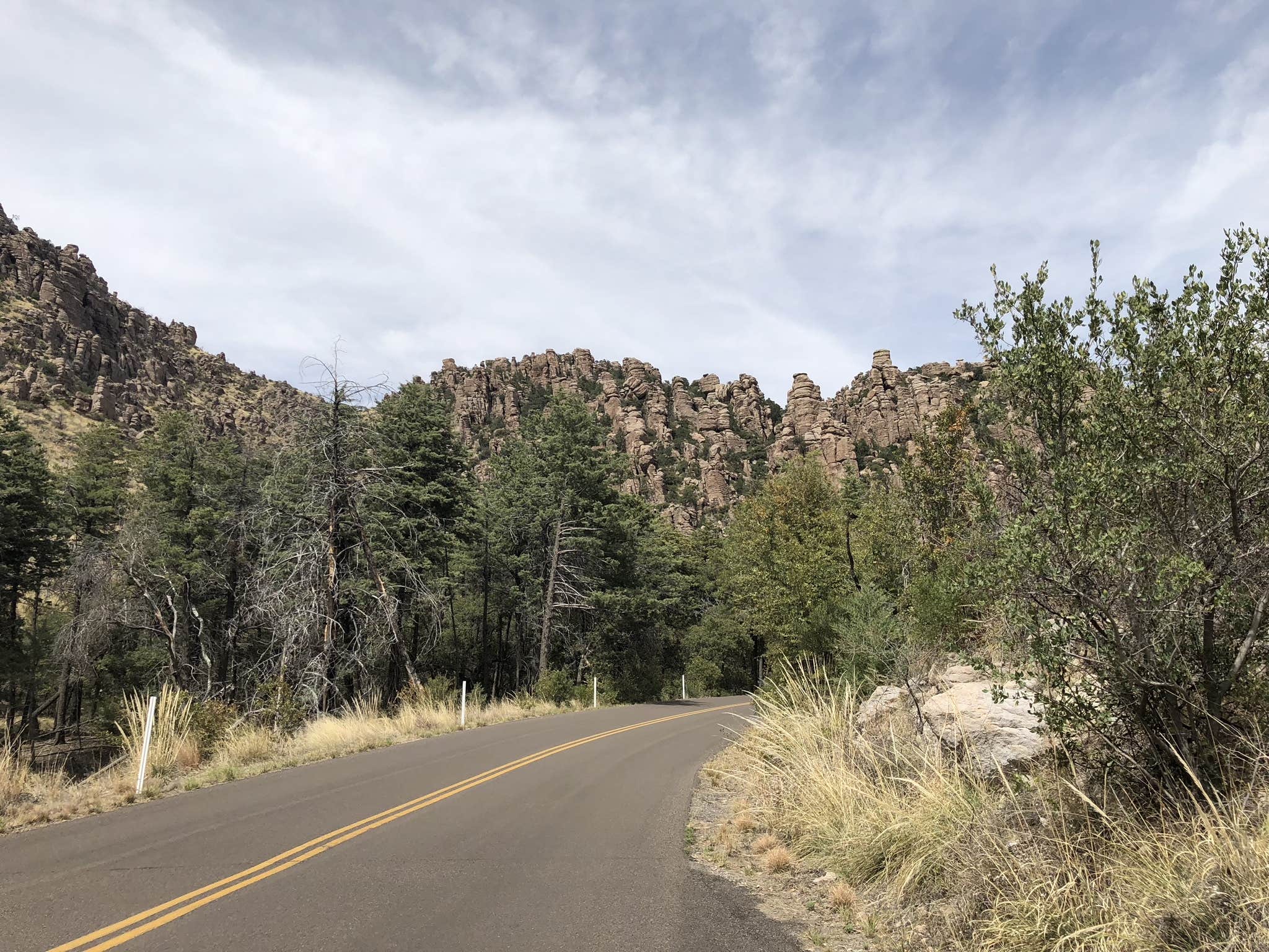 Camper submitted image from Chiricahua Mountains - 3