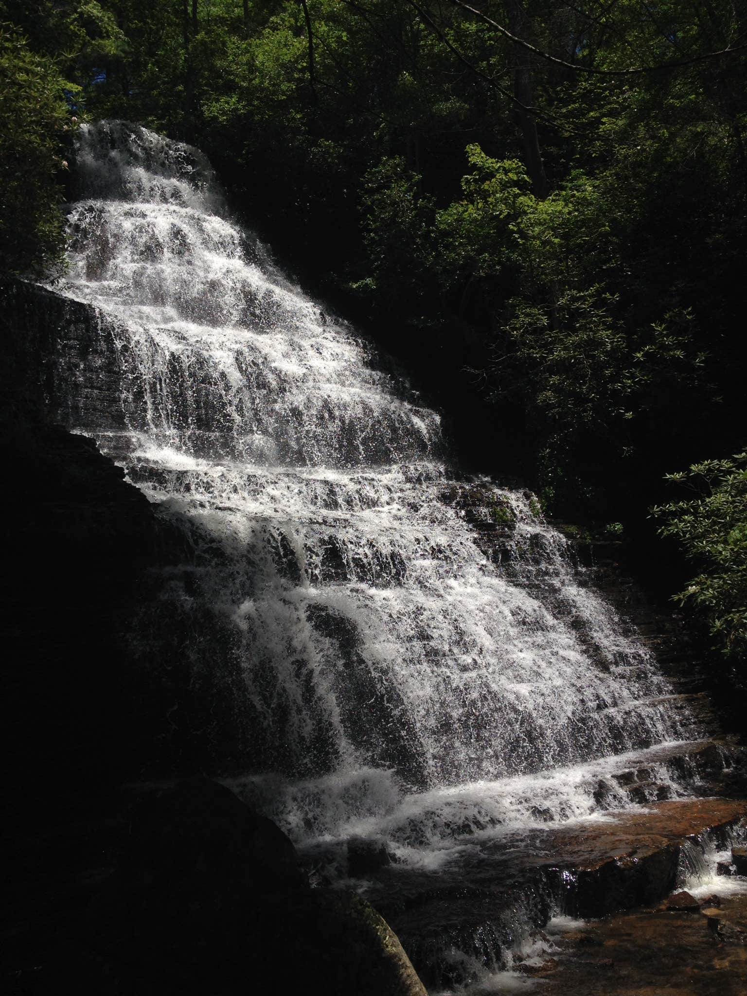 Camper submitted image from Chilhowee Recreation Area - 3