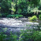 Review photo of Hillsborough River State Park Campground by Kristin  K., July 30, 2018