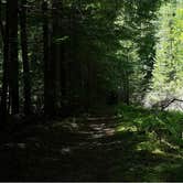 Review photo of Burlington Campground — Humboldt Redwoods State Park by Joseph L., June 19, 2015
