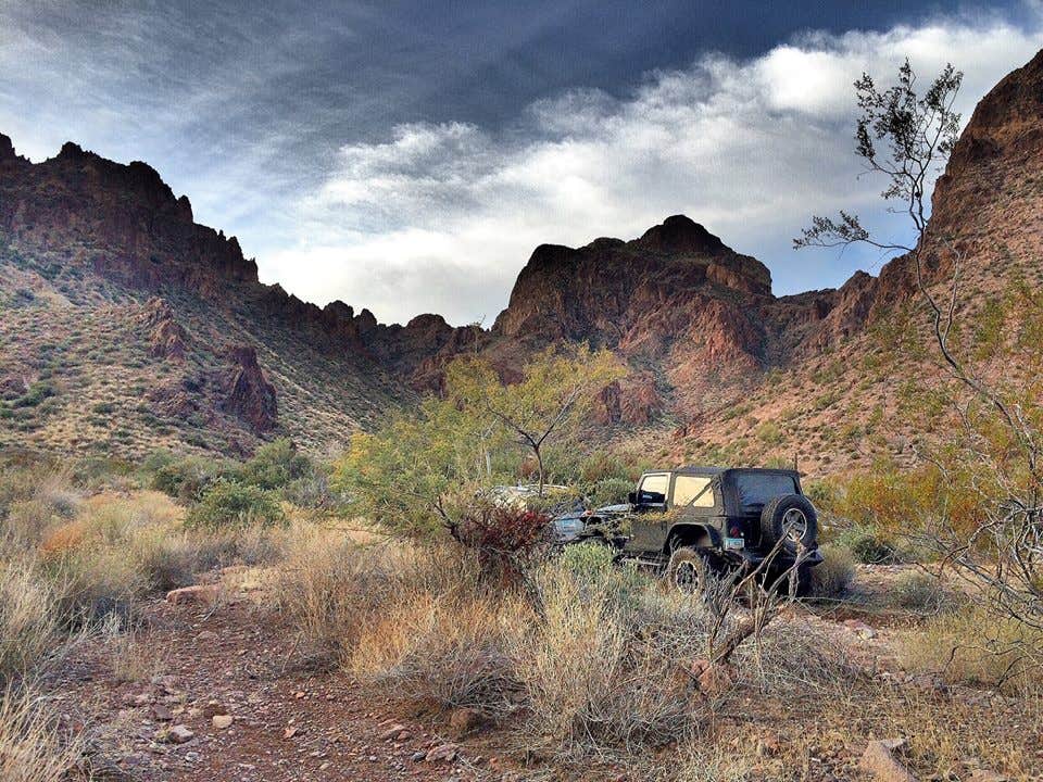 Camper-submitted photo at Kofa National Wildlife Refuge near Dateland, AZ
