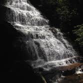 Review photo of Chilhowee Recreation Area by Emily Grace M., July 30, 2018