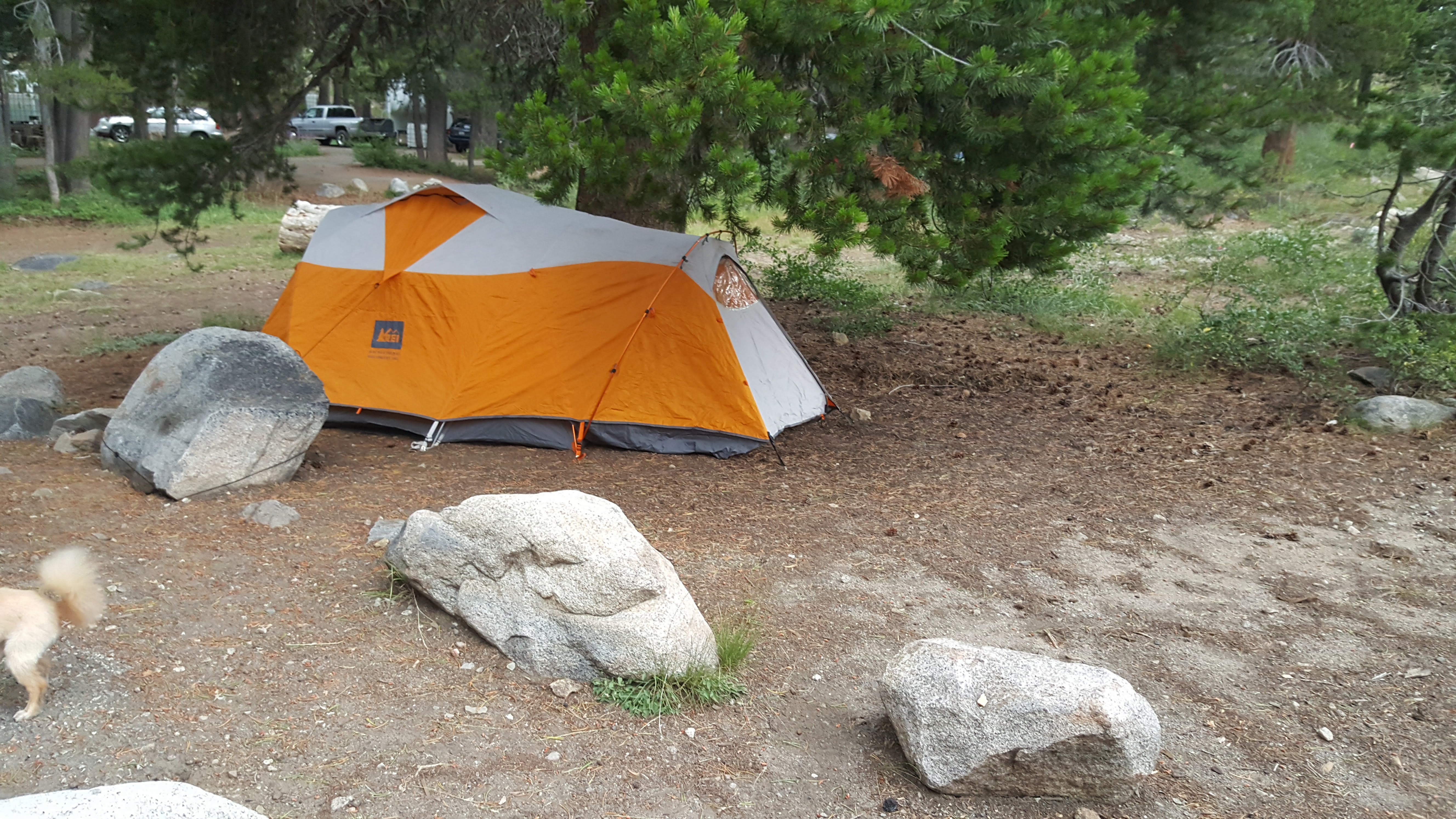 Camper submitted image from Caples Lake Campground - 1
