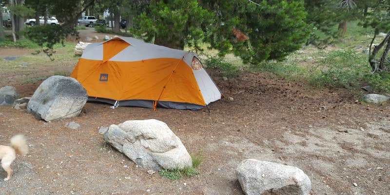 Camper submitted image from Caples Lake Campground