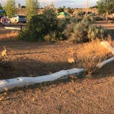 Review photo of Wahweap Campground & RV Park — Glen Canyon National Recreation Area by Kalissa M., July 30, 2018