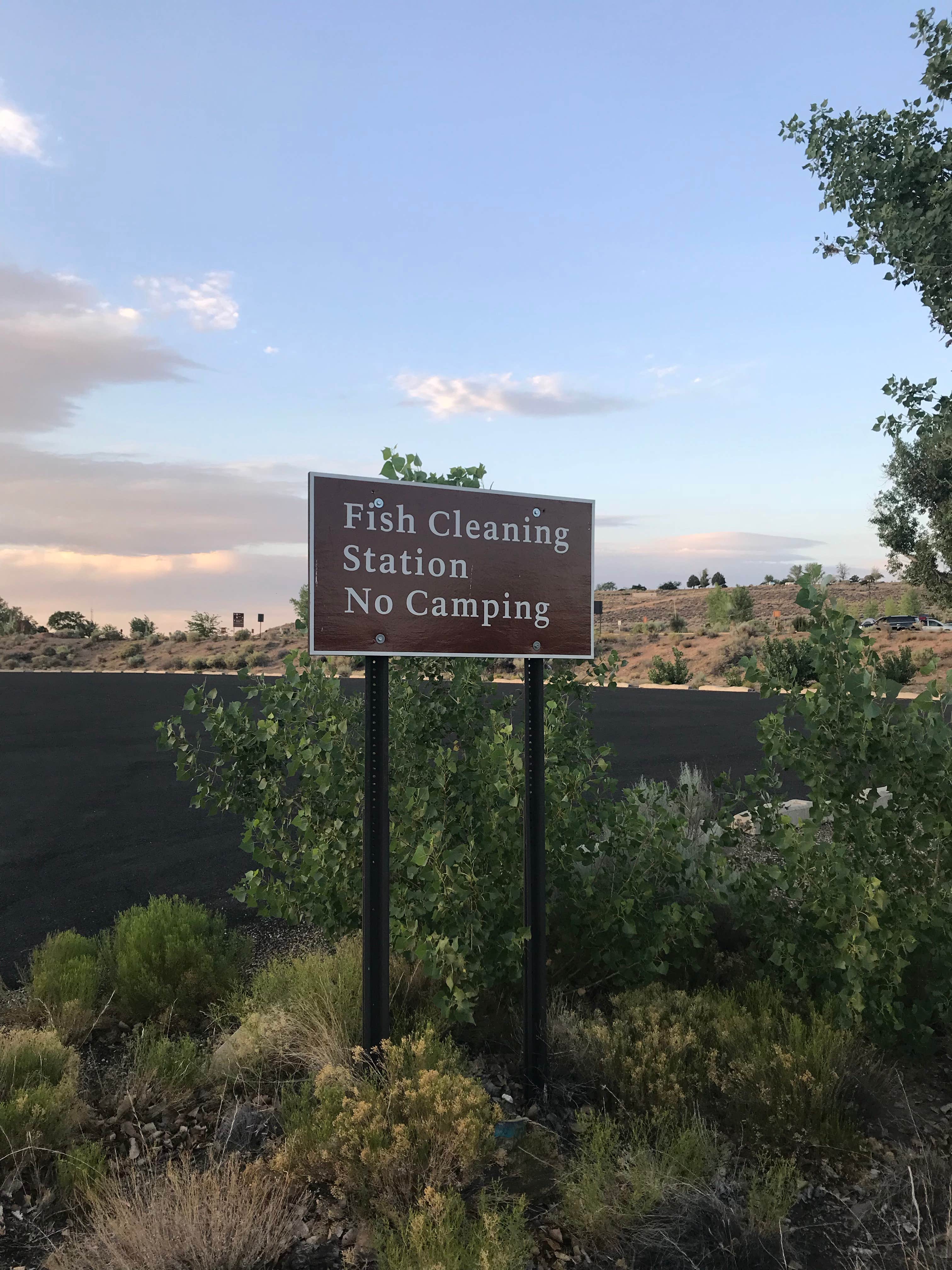 Camper submitted image from Wahweap Campground & RV Park — Glen Canyon National Recreation Area - 5