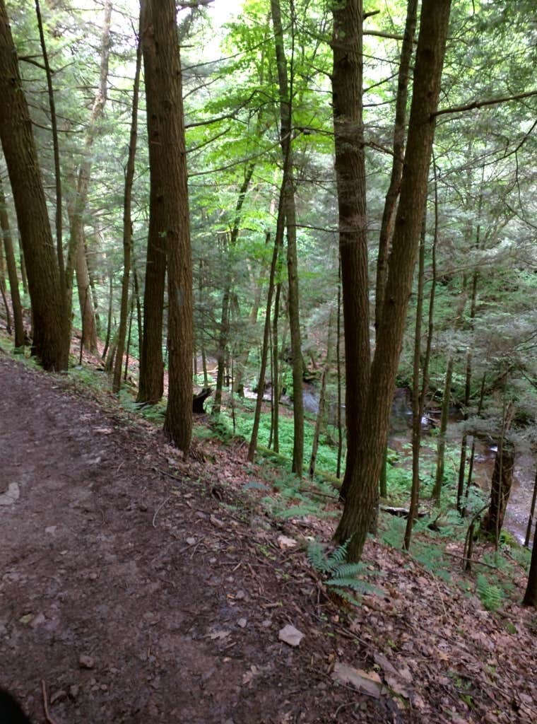 Camper-submitted photo at Leonard Harrison State Park Campground near Cammal, PA