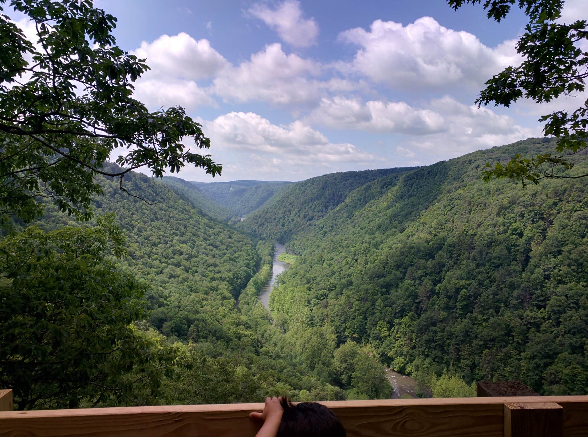 Camper-submitted photo at Leonard Harrison State Park Campground near Cammal, PA